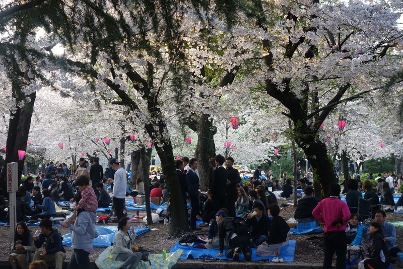 Tsurumai park at full swing