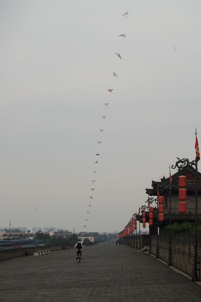 bike-kite-flying