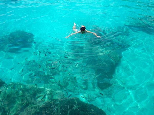 Snorkling with the fish