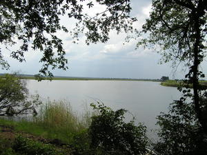 Chobe River