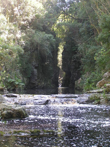 Upstream of swimming hole