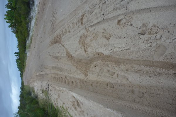 My skid marks/wipeout in the soft sand