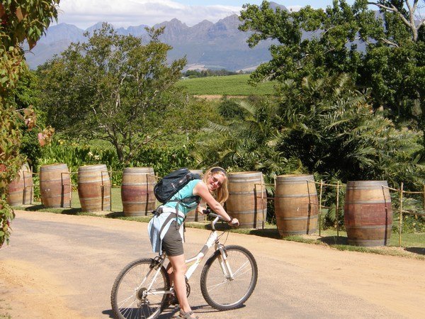 Cycling the winelands of Stellenbosch