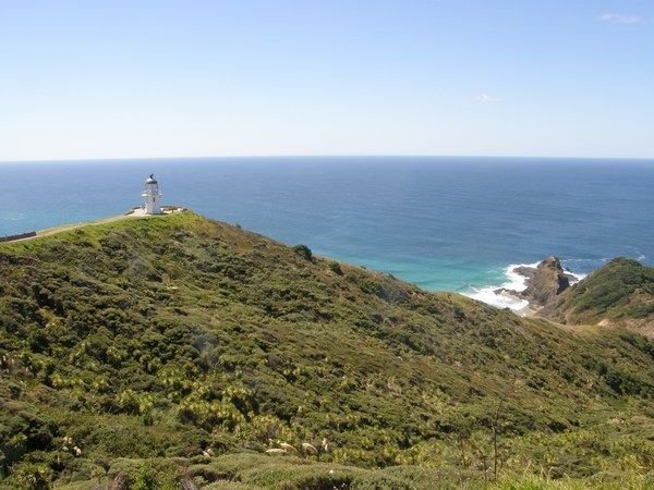 Cape Reinga - almost the most northern point!