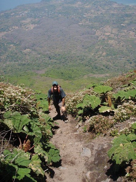 Ascending through the rhubarb, Volcan Conception