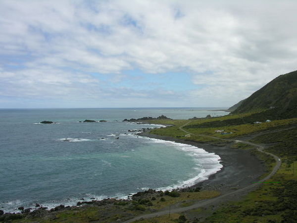Wellington Region coast line