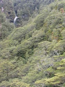 A waterfall in the background in Arthur's Pass
