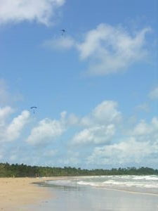 The ocean and some sky divers