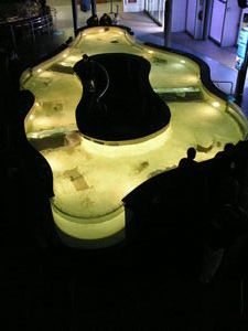 The manta ray pool in the aquarium