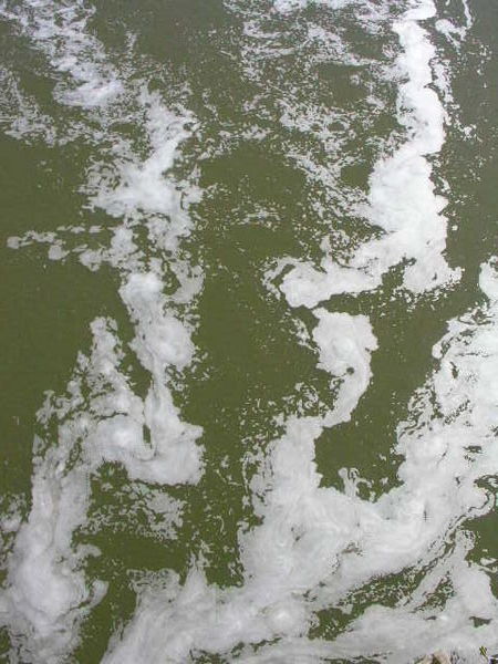An artsy design made by the river and foam