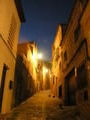 A street of Toledo at night, with some sketchy looking cats.