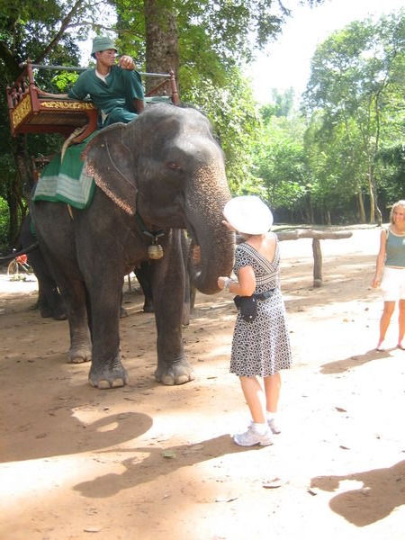 Lindsay Feeding the Elephant