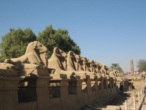 Lions protecting the Karnac Temple
