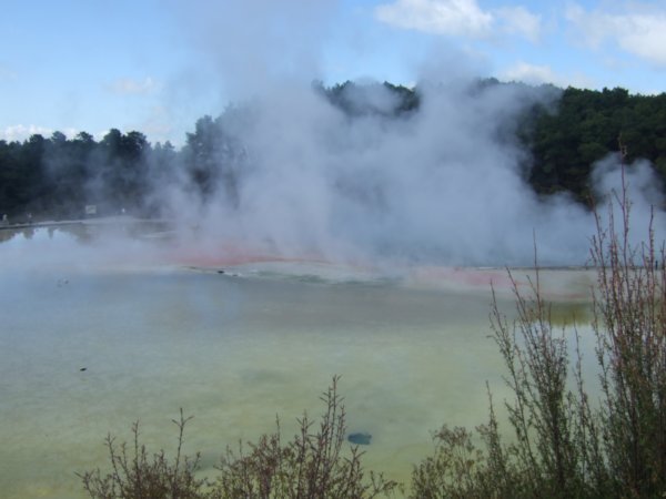 Steaming lake at the Thermal Wonderland