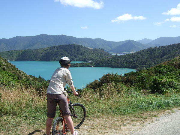 On the Queen Charlotte Track