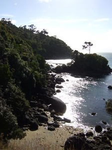 Typical bay - Stewart Island