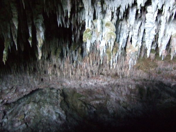 Cathedral Dome Cave, Golden Bay