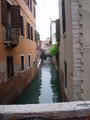 Venice's little allyes