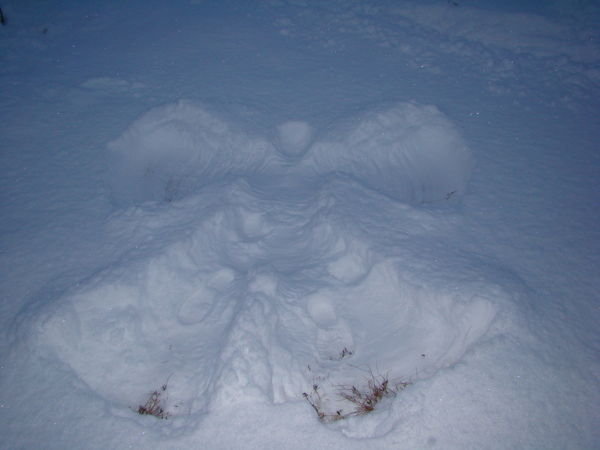 ...of making a snow angel