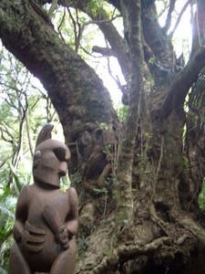 Ancient Maori Burial Tree
