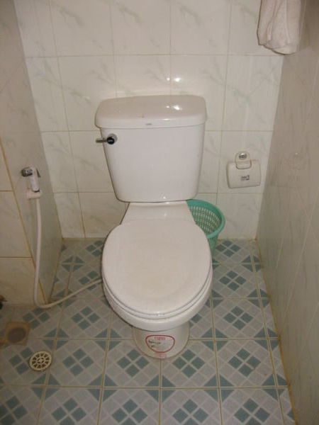Toilet setup