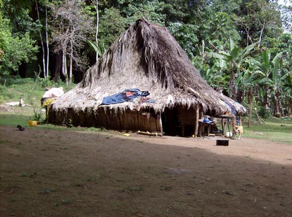 Traditional Ngabe House