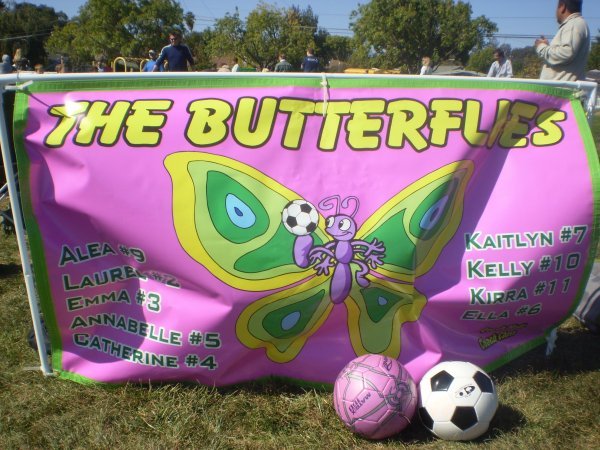 The butterflies