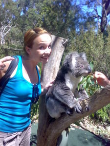 Katja will Koala knuddeln..
