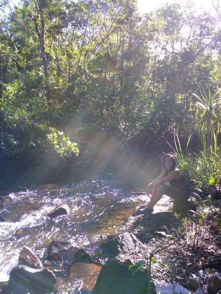 Sonnenstrahlen und Creek