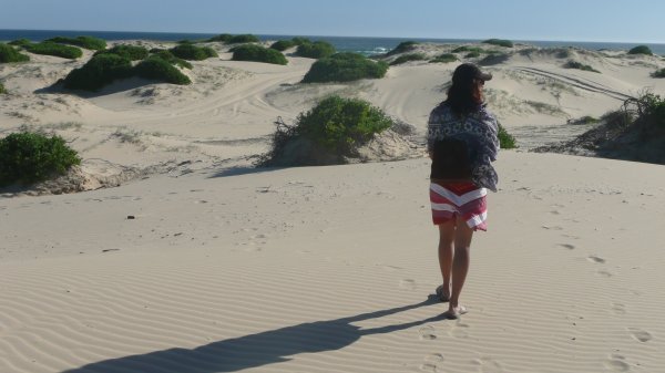 les dunes de sable mouvant a Nelson Bay