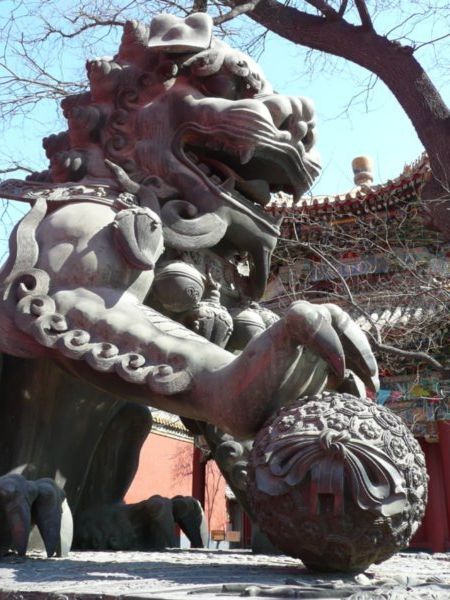 Un lion au temple du Lama