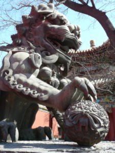 Un lion au temple du Lama