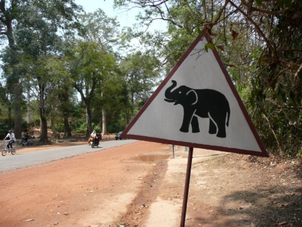 attention aux elephants!