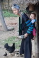 Hmong Villager