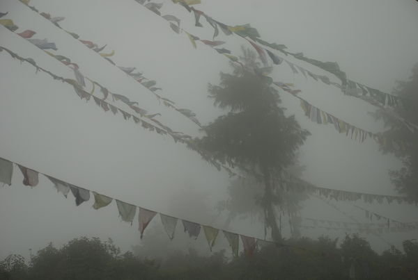 Flags in the Mist