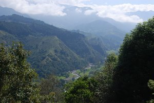Valle Del Cocora