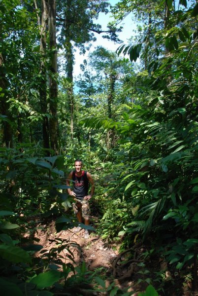 Deep In the Jungle Of Costa Rica