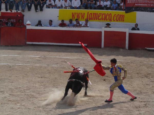 AT the bullfight