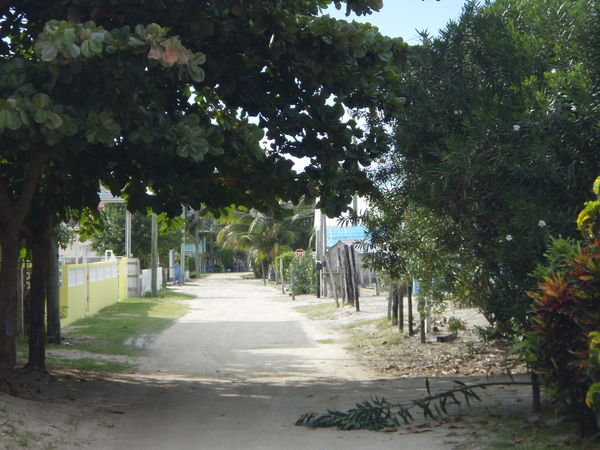 The Mean Streets of Caye Caulker 2