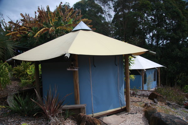 Yurt sweet yurt