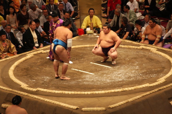 Sumo stand off
