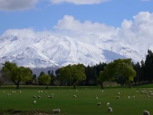 Road to Mt Aspiring National Park