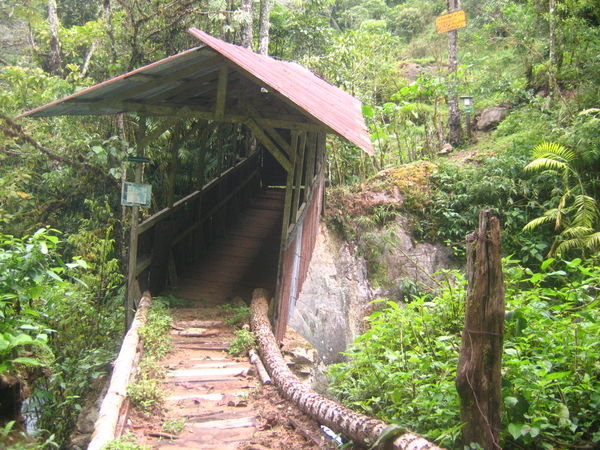covered bridge in costa rica