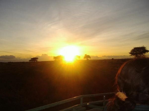 Sunrise On The Serengeti