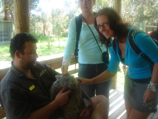 me and a wombat :)