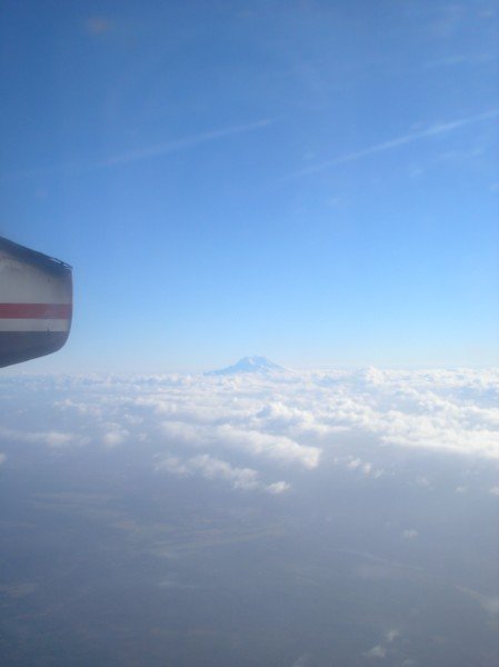Mount Rainer from the plane
