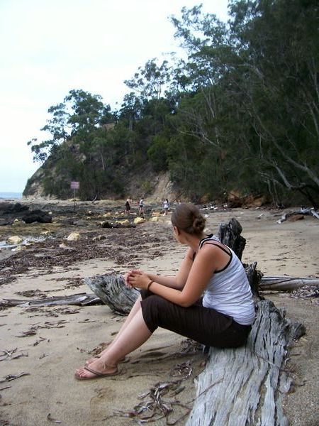 Cordy on the beach at Batemans Bay