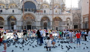 The pigeons of Saint Mark's Square