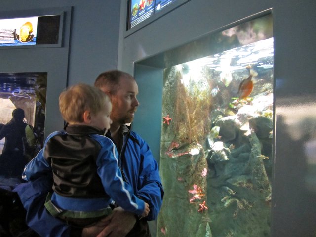 At the aquarium