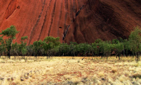 The Base of Uluru